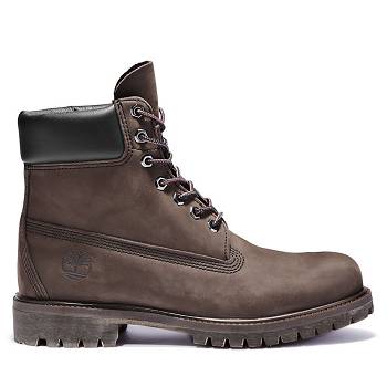 Timberland Férfi 6-Inch Premium Vízálló Bakancs Sötét Barna